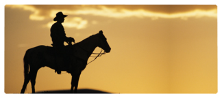 DNSEMP-L-360-BZ Cowboy Bronze